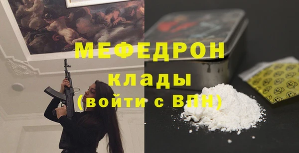 гашик Туринск