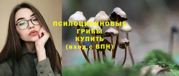 МДМА Белокуриха