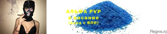 гашик Тихвин