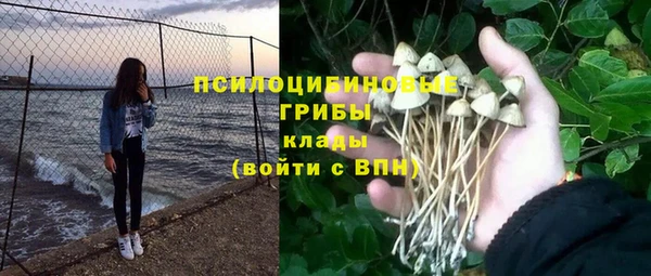 МДМА Белокуриха
