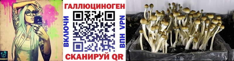 хочу наркоту  Воскресенск  Псилоцибиновые грибы MAGIC MUSHROOMS 