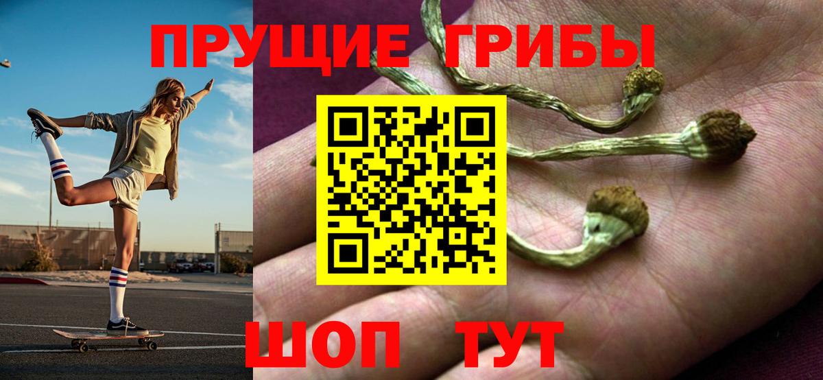 Псилоцибиновые грибы MAGIC MUSHROOMS  Галлюциногенные грибы прущие грибы  Воскресенск  Вход с VPN 