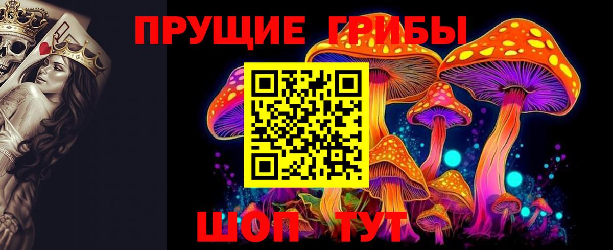 Галлюциногенные грибы Psilocybine cubensis Воскресенск