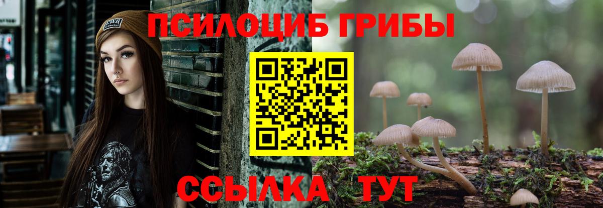 Галлюциногенные грибы Psilocybe  Псилоцибиновые грибы Psilocybine cubensis  Воскресенск 