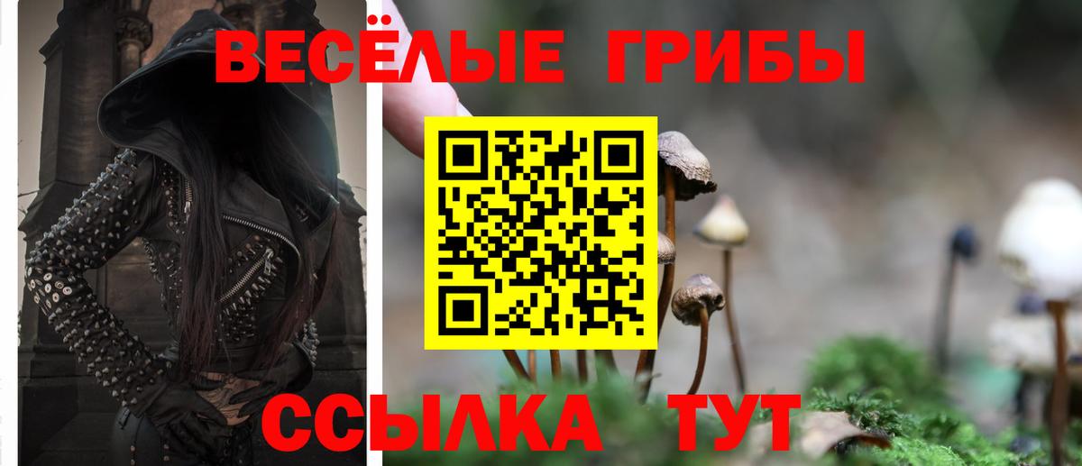 Галлюциногенные грибы Psilocybine cubensis Воскресенск
